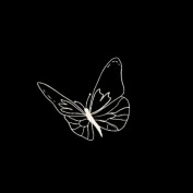 Daisyhoney profile image