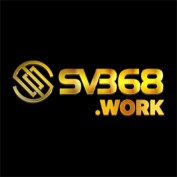 sv368work profile image