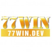 windev77 profile image