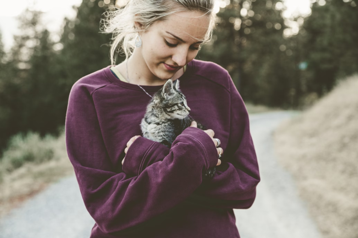15 Best Cats for Single Women Living Alone