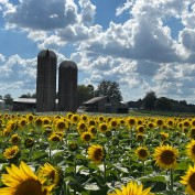 Vintage Honey profile image