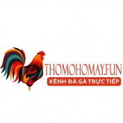 thomohomnayfun profile image