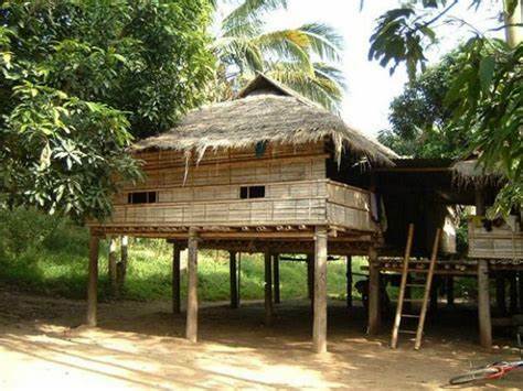Bamboo house