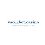 vao11betcasino profile image vao11betcasino profile image
