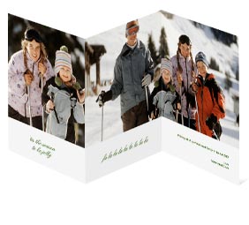 This tri-fold card allows you to have one large image covering two panels.