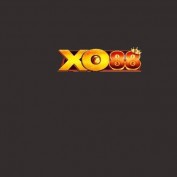 xo88xbet profile image