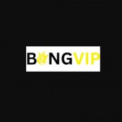 bongviplol profile image