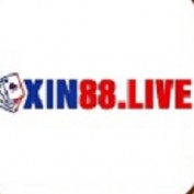 xin88live profile image
