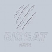 bigcatcues profile image