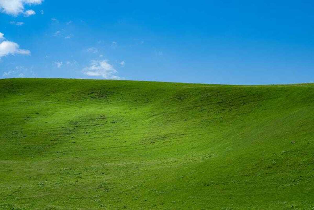 Why Windows XP Is So Fondly Remembered