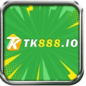 tk888io profile image