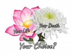 Your Life, Your Death, Your Choice?