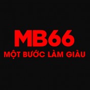 xmb66info profile image