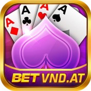 betvndat profile image