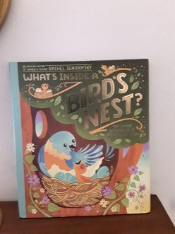 Birds and Their Nests in Informative and Beautifully Illustrated Picture Book