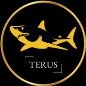 terutechnology profile image