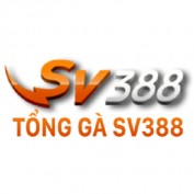 sv388tong1 profile image