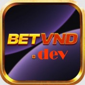 betvnddev profile image