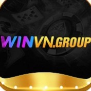 winvn01group profile image