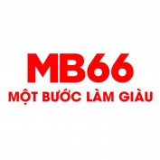 xmb66co profile image