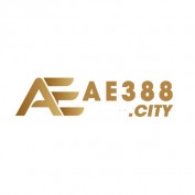 ae388citycasino profile image