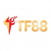 tf88zonee profile image
