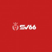 sv66tech profile image