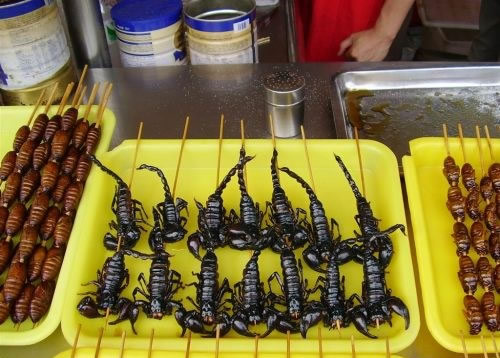 Scorpion on a stick,  at least these ones are dead