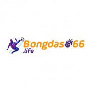 bongdaso66life profile image