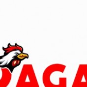 sv388cyou profile image