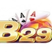 b29mba profile image