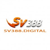 sv388digital profile image