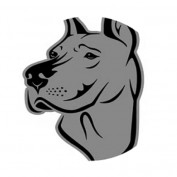 Pawsome Great danes profile image