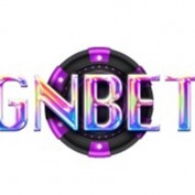 gnbetbuzz profile image