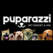 puparazila profile image
