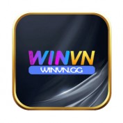winvngg profile image