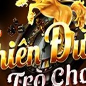 tdtcli profile image
