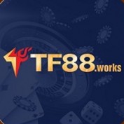 tf88works profile image