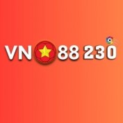 vn88230 profile image