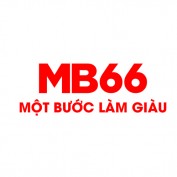 mb66photos profile image