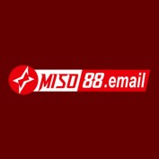 miso88email profile image