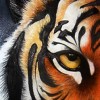 oytamuah profile image