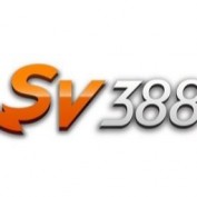 sv388direct profile image