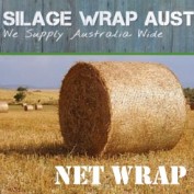 netwrap1 profile image