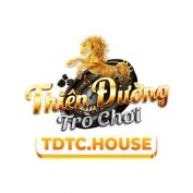 tdtchouse profile image