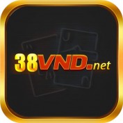 net38vnd profile image