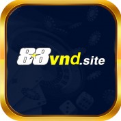 vndsite88 profile image