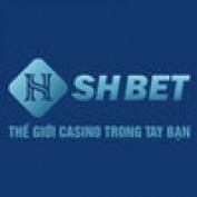 shbetgg1 profile image