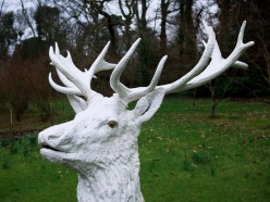 King David and the White Stag That Confirmed His Rule
