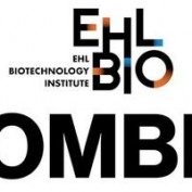 Bombit profile image